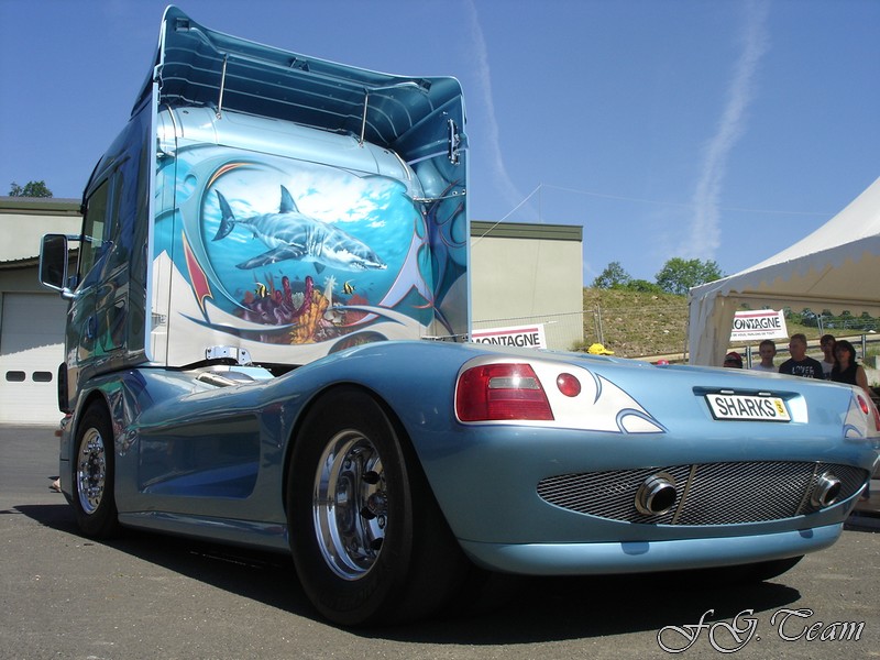 Svempas Shark (9).JPG